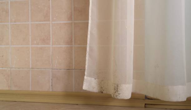 Best Mold Removal for HVAC Installations  in Killen, AL