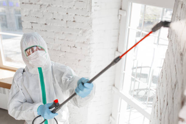 Mold Remediation for Rental Properties in Killen, AL